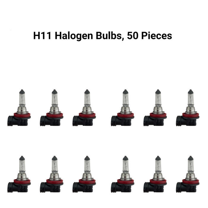 H11 Halogen Headlight Bulbs