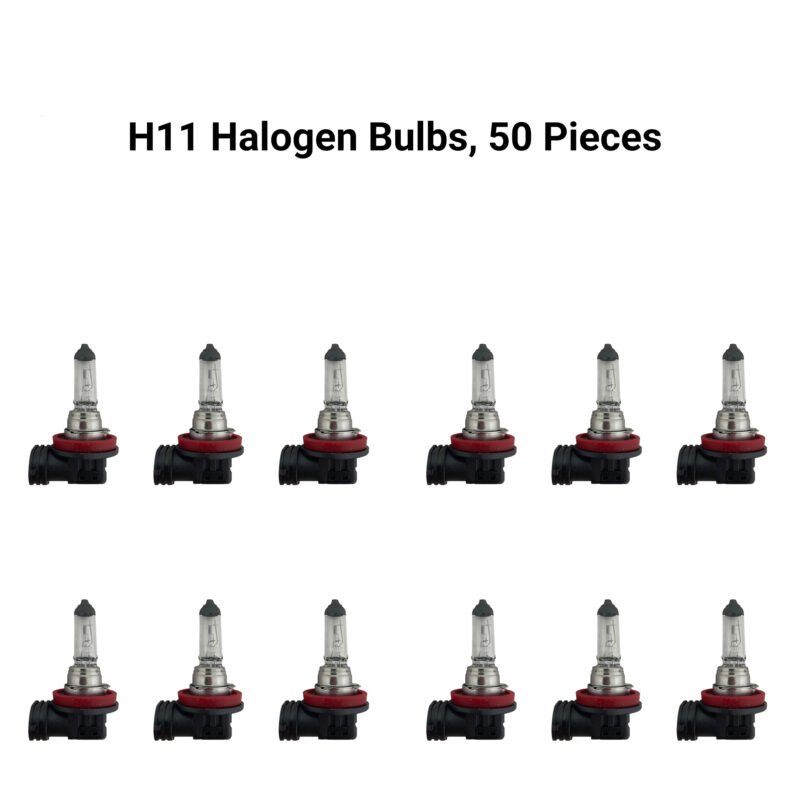 H11 Halogen Headlight Bulbs